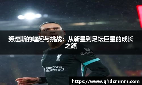 努涅斯的崛起与挑战：从新星到足坛巨星的成长之路